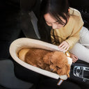 Secure Travel Bed Carrier for Small Dogs