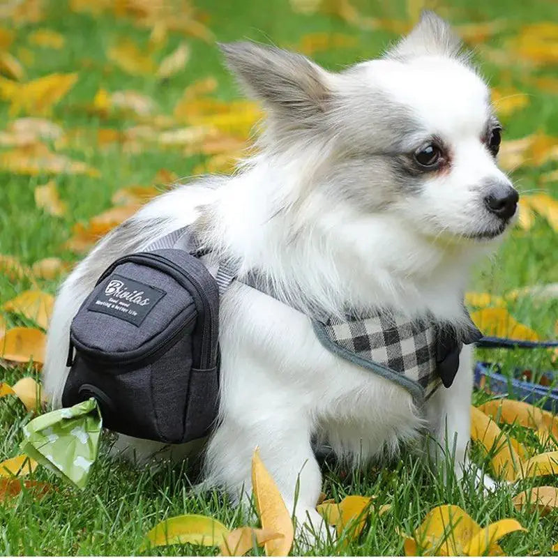 Dog Training Treat Bag Outdoor Pouch For Puppy Snacks