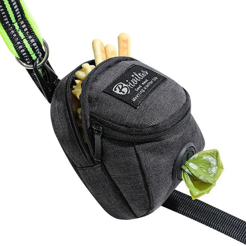 Dog Training Treat Bag Outdoor Pouch For Puppy Snacks