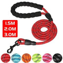 Reflective Dog Leash for Night Walks