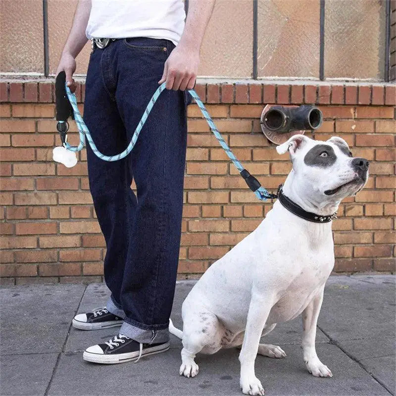 Reflective Nylon Dog Leash Safety and Style for Walks