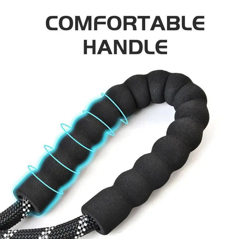 Reflective Nylon Dog Leash Safety and Style for Walks