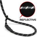 Reflective Dog Leash for Night Walks