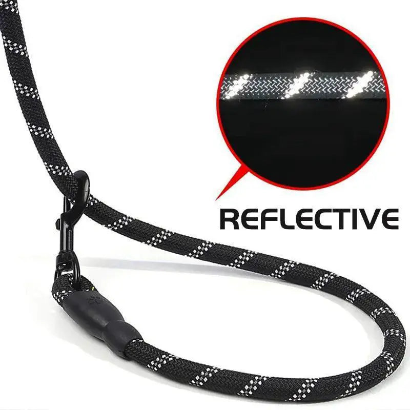 Reflective Nylon Dog Leash Safety and Style for Walks