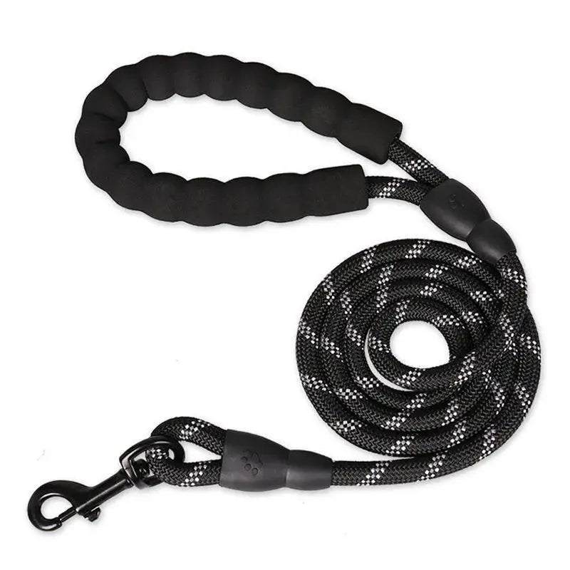 Reflective Nylon Dog Leash Safety and Style for Walks