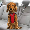 Car Dog Harness for Safe Travel
