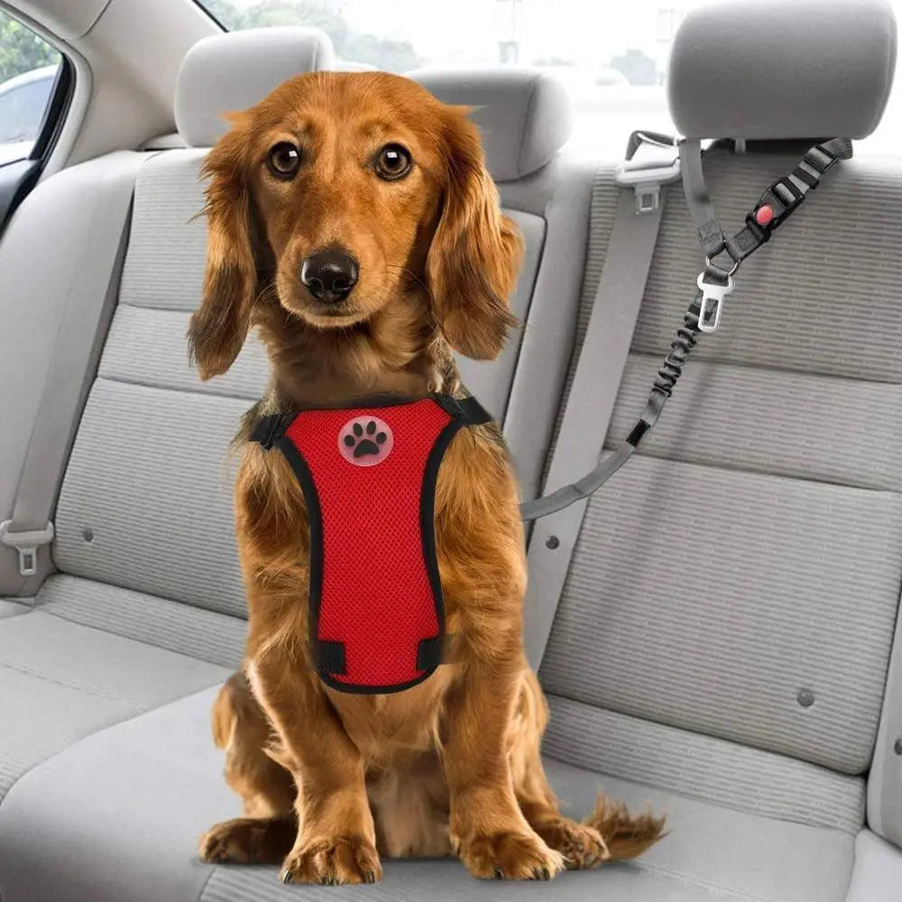 Dog Vehicle Harness With Headrest Restraint For Safe Travel