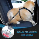 Car Dog Harness for Safe Travel