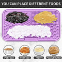 Slow Feeder Placemat for Pets Slow Eating