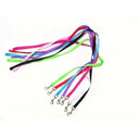 Safe Nylon Pet Walk Set for Daily Walks