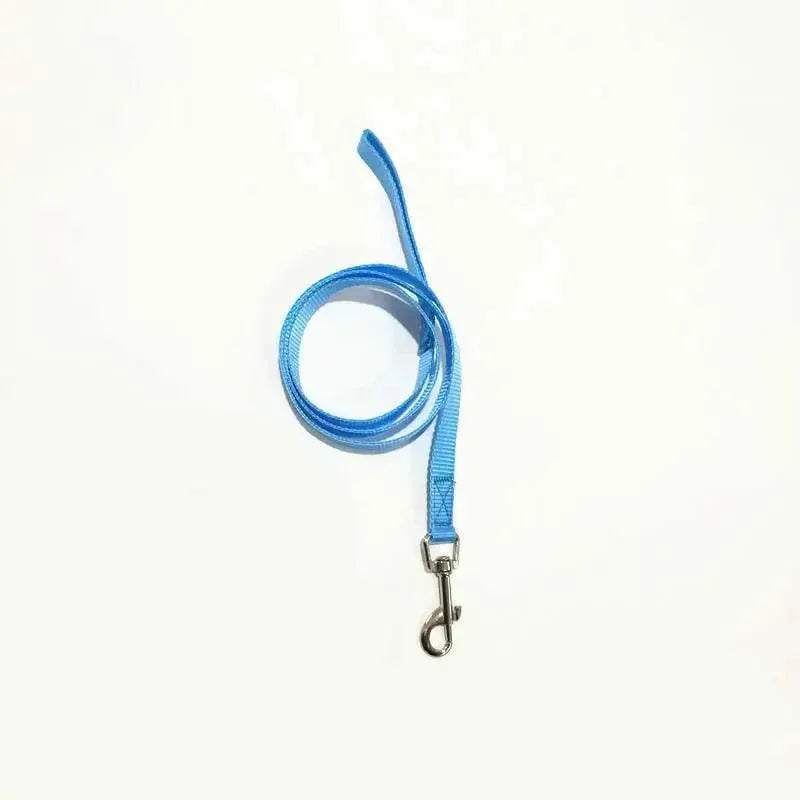 Vibrant Nylon Pet Walking Set for Stylish Dogs and Cats