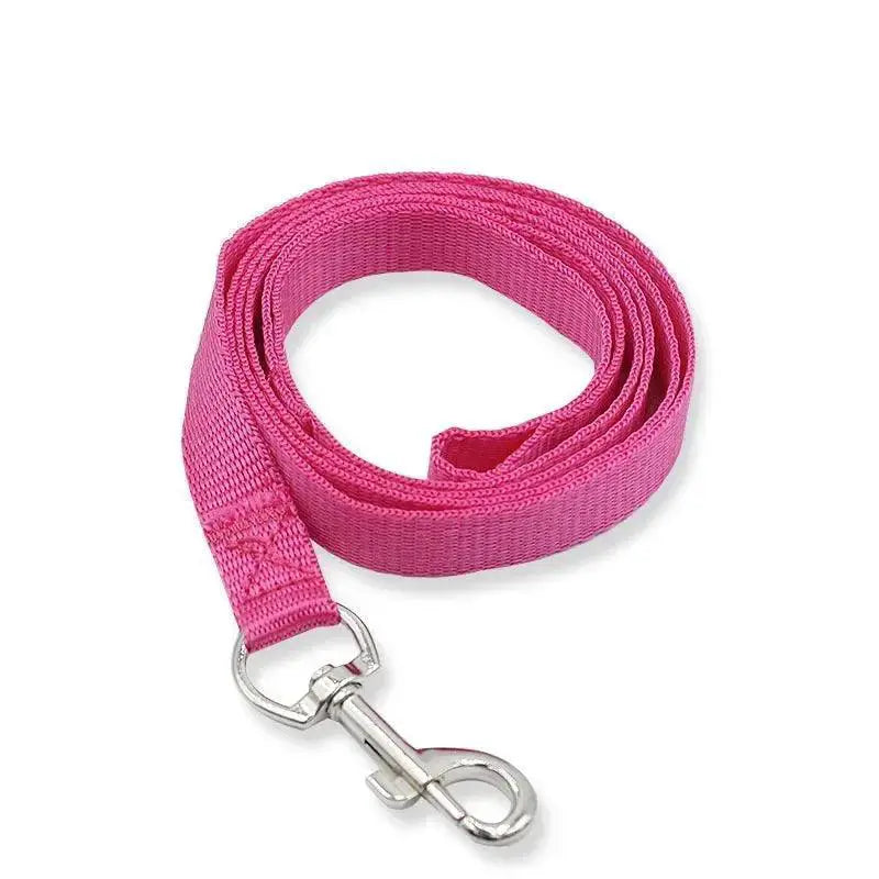 Vibrant Nylon Pet Walking Set for Stylish Dogs and Cats