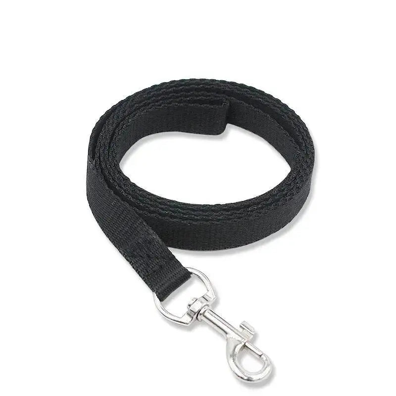 Vibrant Nylon Pet Walking Set for Stylish Dogs and Cats