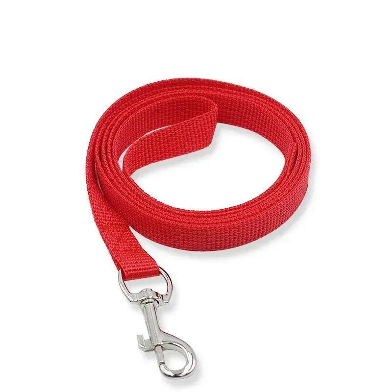 Vibrant Nylon Pet Walking Set for Stylish Dogs and Cats