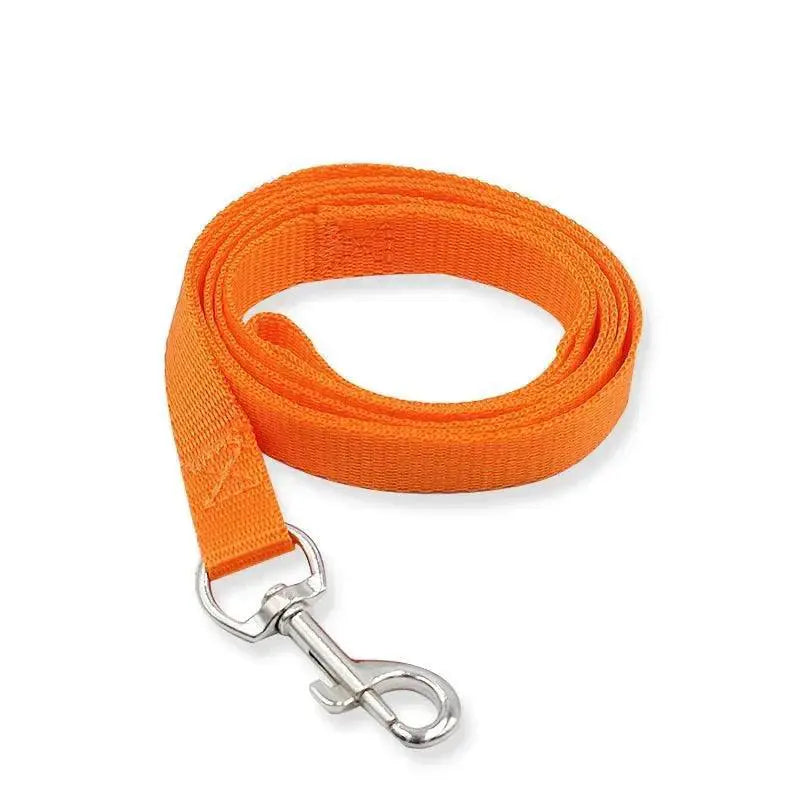 Vibrant Nylon Pet Walking Set for Stylish Dogs and Cats