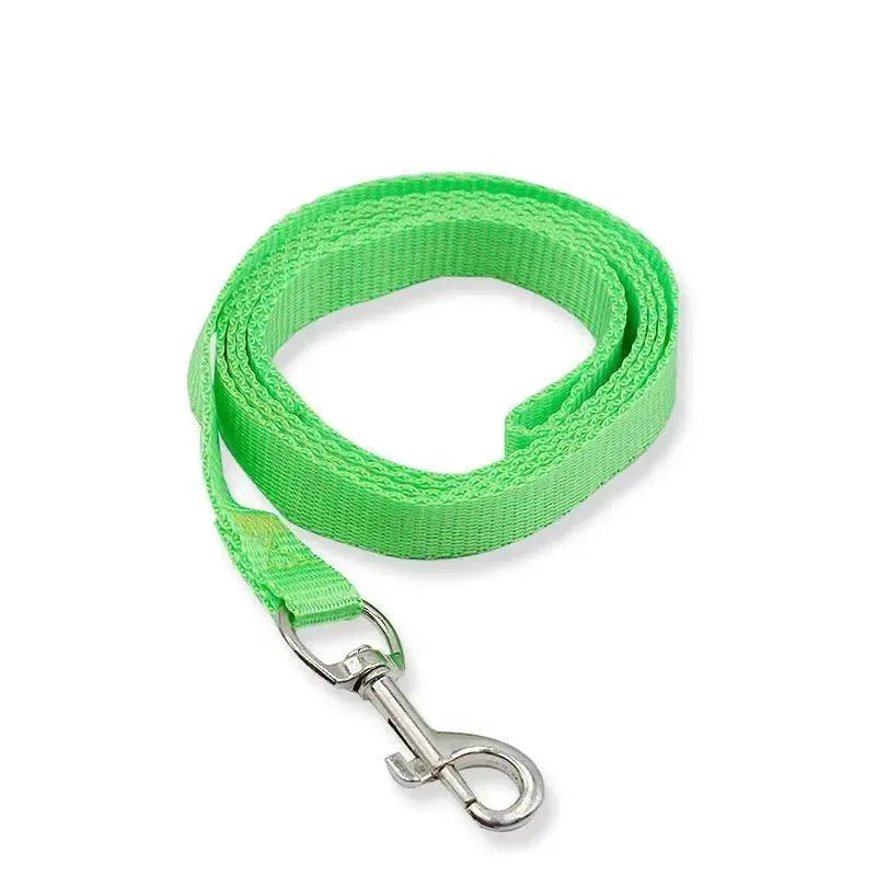 Vibrant Nylon Pet Walking Set for Stylish Dogs and Cats