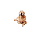 Waterproof Dog Car Seat Cover Hammock