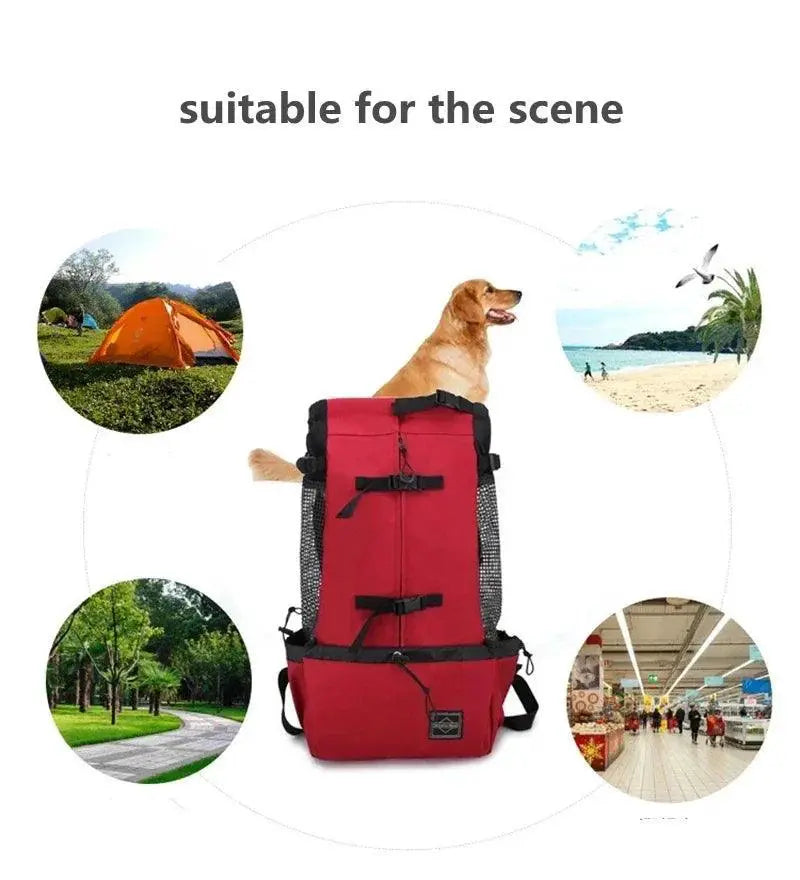PawGlide Breathable Carrier Bag For Cats And French Bulldogs