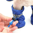 Keep Paws Dry In Waterproof Pet Boots