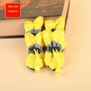 Keep Paws Dry In Waterproof Pet Boots