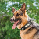 Personalized Safety Leather Dog Collar