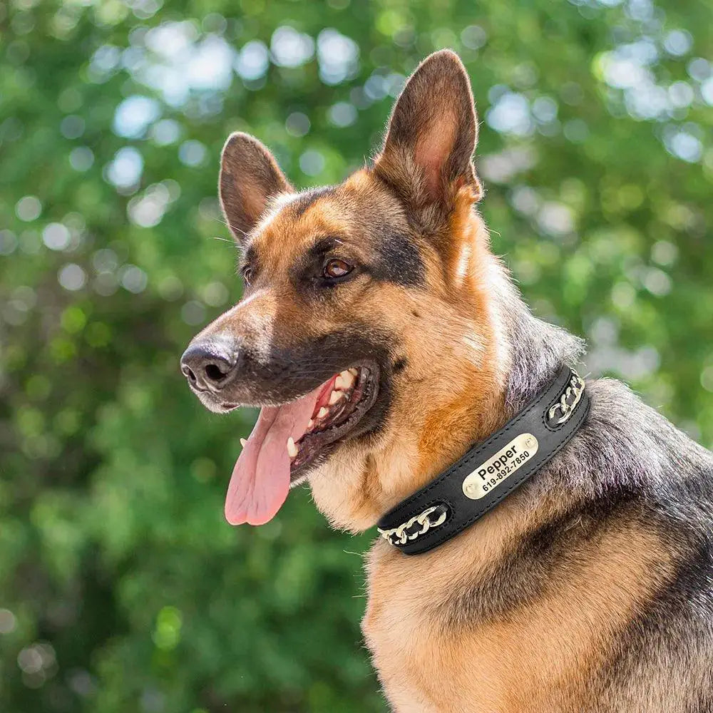 Luxury Leather Dog Collar Personalized Safety for Dogs
