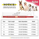 Personalized Safety Leather Dog Collar