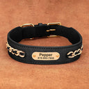Personalized Safety Leather Dog Collar