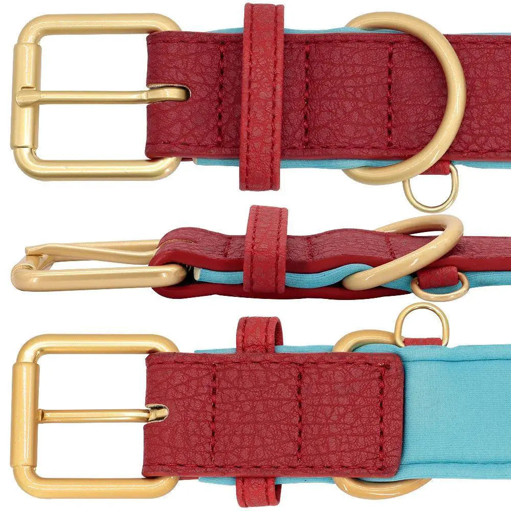 Personalized Leather Dog Collar With Engraved ID Tag