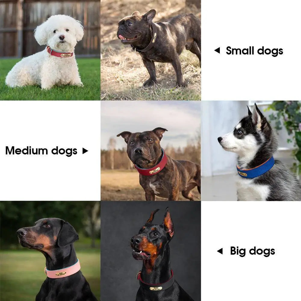 Personalized Leather Dog Collar With Engraved ID Tag