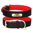 Personalized Leather Dog Collar With Engraved ID Tag