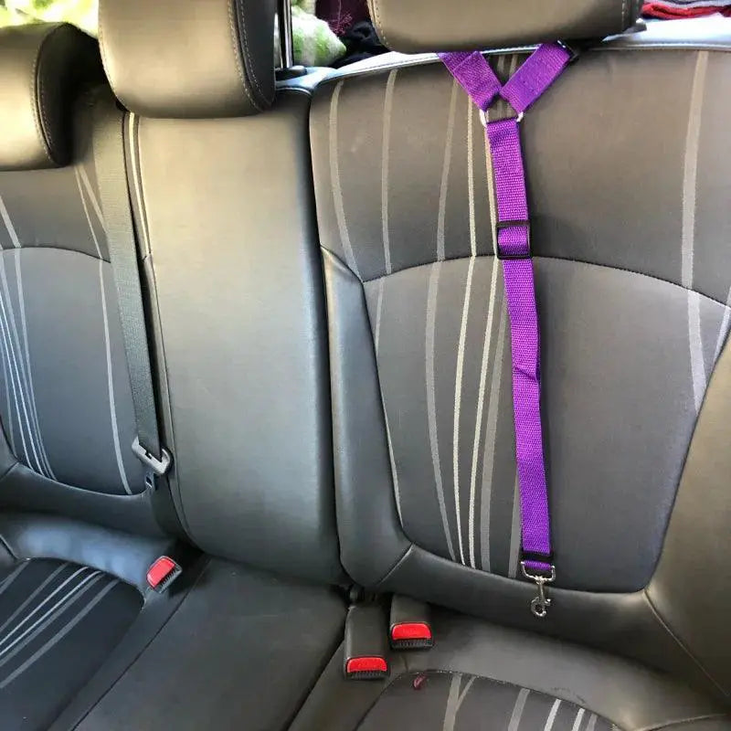 Pet Car Safety Leash Travel Harness for Pets Premium