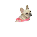 Breathable Car Seat Cover for Small Dogs