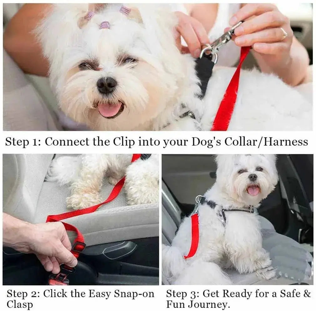 Pet Car Harness Leash Safe Travel Companion For Dogs