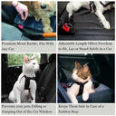 Secure Pet Car Harness For Safer Rides