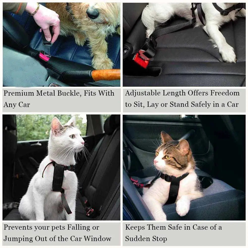 Pet Car Harness Leash Safe Travel Companion For Dogs