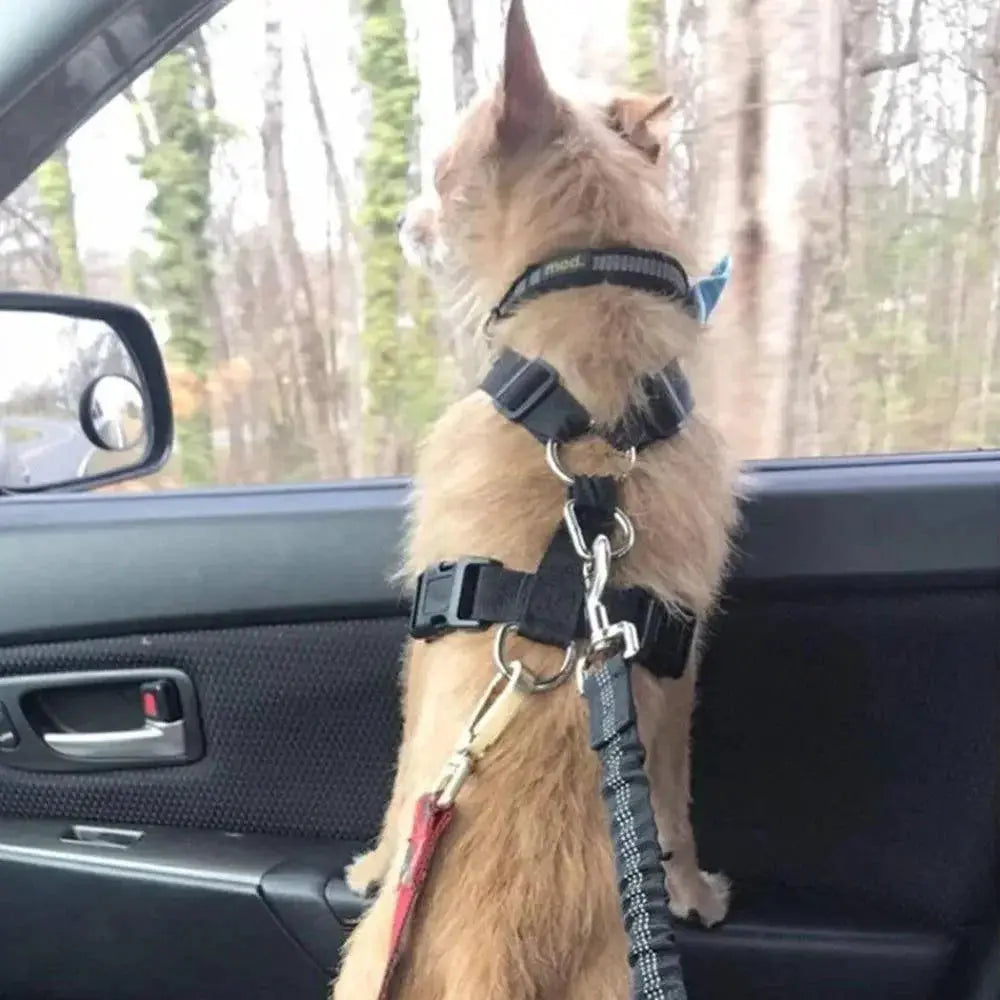 Dog Car Safety Belt Reflective Adjustable Nylon Seatbelt