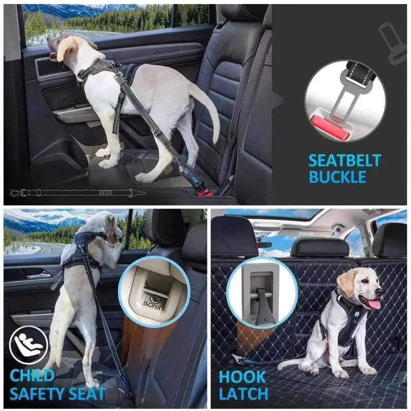 Pet Car Seat Belt For Dogs Secure Travel And Comfort