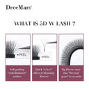 Natural Look Eyelash Extensions Everyday