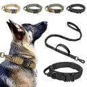 Durable Nylon Dog Collar For Large Dogs