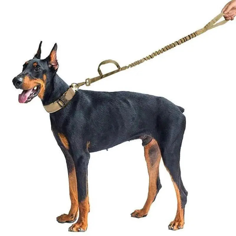 Military Tactical Dog Collar With Durable Nylon Lead