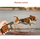 Gentle Dog Training Collar for Obedience