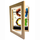 Kids Magnetic Art Frame for Quick Swap