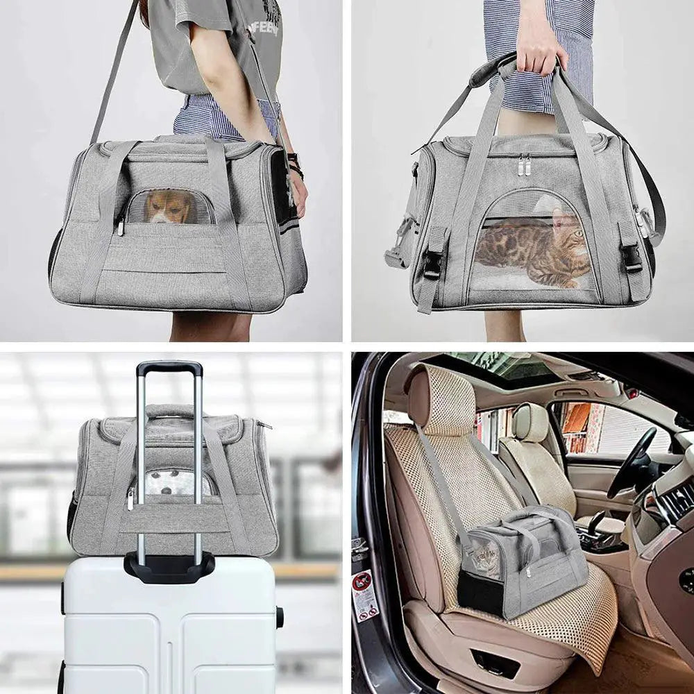 PawVoyage Pet Traveler Backpack Reflective Safety Gear