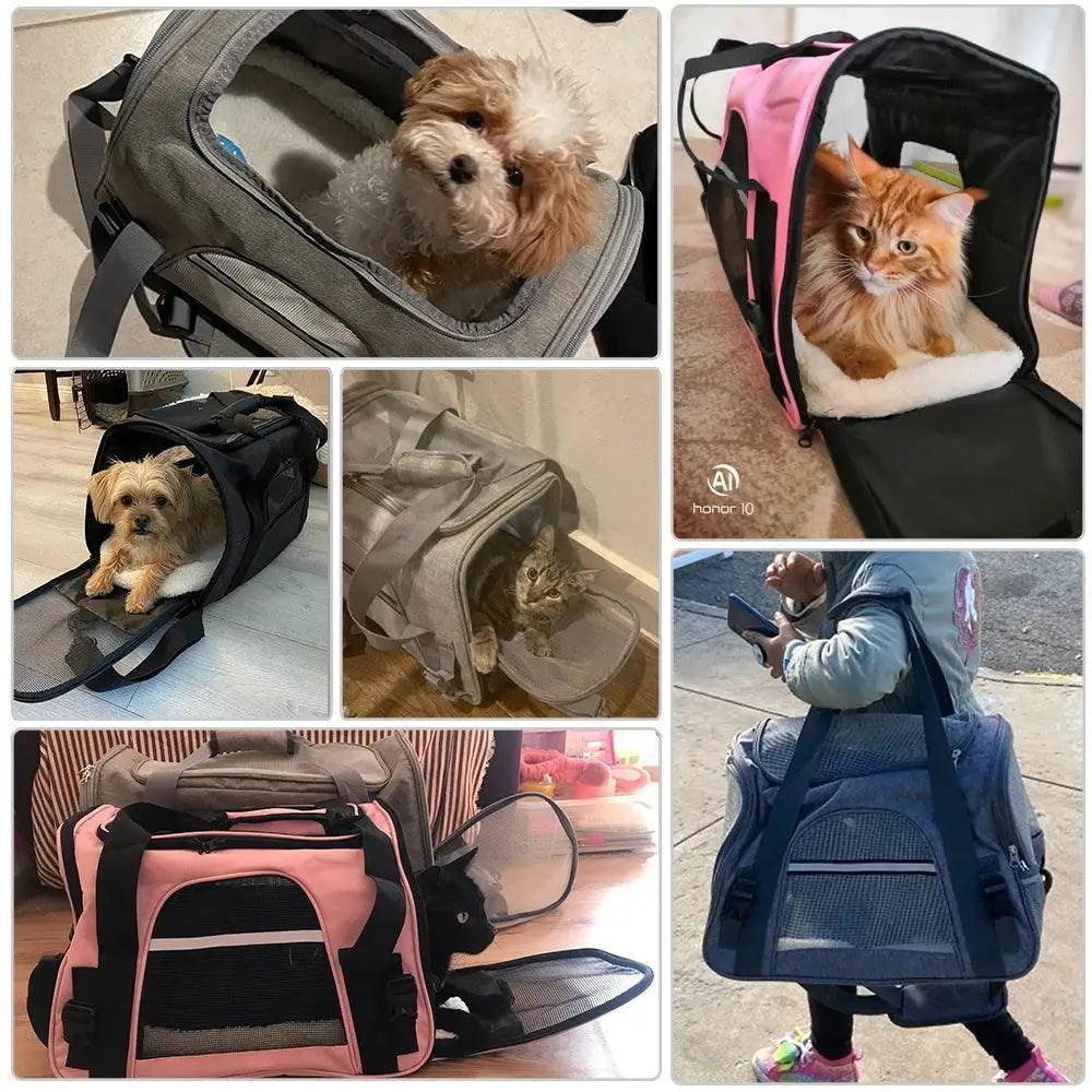 PawVoyage Pet Traveler Backpack Reflective Safety Gear