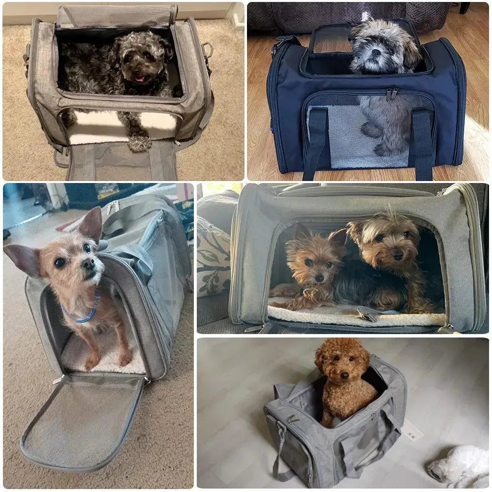 PetVoyage Soft Sided Carrier Backpack Airline Approved