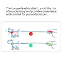 All Breeds Comfortable Bungee Dog Leash