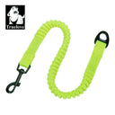 All Breeds Comfortable Bungee Dog Leash