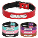 Safe Leather Dog Collar with ID Tag