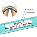 Safe Leather Dog Collar with ID Tag
